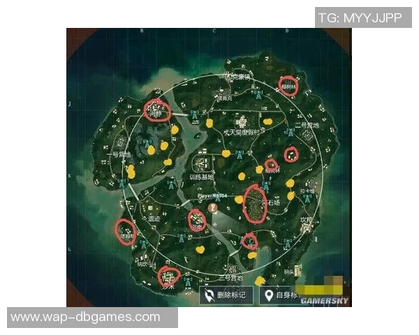 S15LOL赛事分析和平精英战术WE团队盯防体系的深度剖析与应用探讨实时新闻